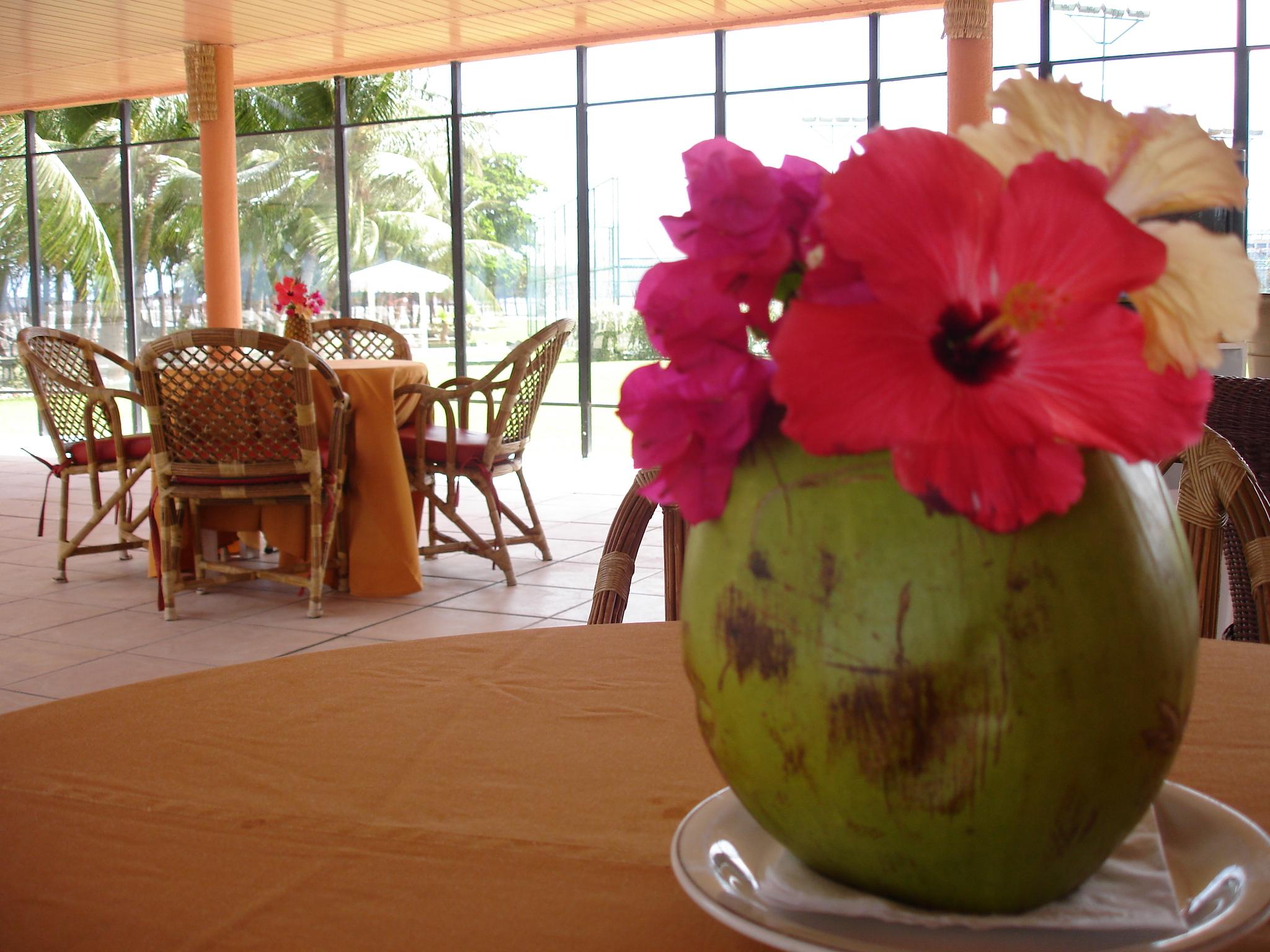 Marina Park Hotel Fortaleza  Eksteriør billede A coconut flower
